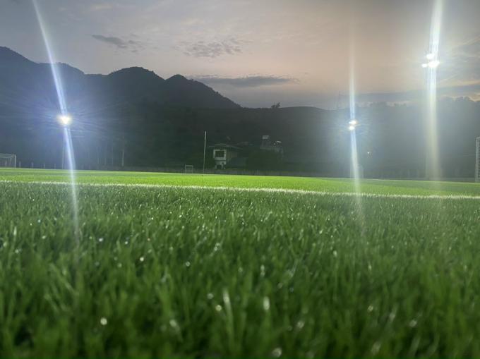 футбола дерновины травы высоты 55mm трава искусственного синтетическая износоустойчивая 0