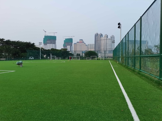 КИТАЙ Цена Futsal Gazon Synthetique травы дерновины футбола футбола AVG 60mm искусственная для оптовой продажи поставщик
