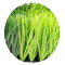 футбола дерновины травы высоты 55mm трава искусственного синтетическая износоустойчивая поставщик