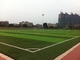 Трава зеленой спортивной площадки футбола синтетическая, трава спортивной площадки поддельная для снаружи поставщик