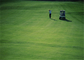 Зеленые цвета установки гольфа высокого дома ковра травы гольфа сопротивления ссадины искусственного на открытом воздухе поставщик