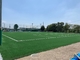 Дерновина дерновины футбола травы ФИФА синтетическая для высоты кучи футбола 50mm поставщик