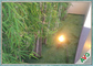 Яблоко ый-зелен s сформировало крытую синтетическую траву для домашнего сада благоустраивая украшение поставщик