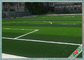Трава синтетики футбола зеленого цвета Дтекс пряжи дерновины 13000 футбола поддельная прочная поставщик