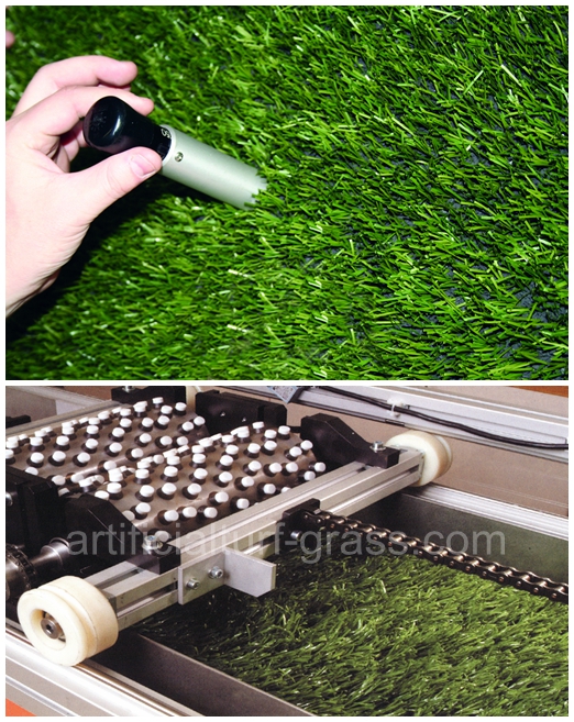 All Victory Grass (Guangzhou) Co., Ltd контроль качества 0
