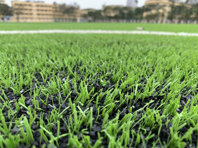 Ковер травы дерновины AVG 60mm для футбольного поля футбола фабрики на открытом воздухе 0