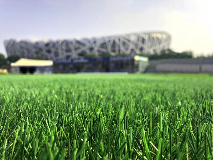 Высота дерновины искусственной сплетенная лужайкой 50mm травы футбола естественной 0