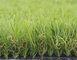 кожа травы сада лужайки дерновины 50mm естественная синтетическая дружелюбная поставщик