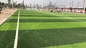 Качественная Pro одобренная трава синтетической дерновины футбола искусственная &amp; настил 55mm спорт поставщик