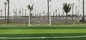 футбола Cesped травы дерновины профессии 60mm дерновина синтетического искусственного искусственная для настила спорта поставщик