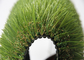 Профессиональное реальное смотря покрытие латекса ковра искусственной травы 30MM на открытом воздухе поставщик