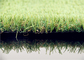 трава домашнего сада виллы стены 10mm искусственная, поддельная дерновина 6800 Dtex сада поставщик