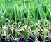 Поле/прованские зеленые лужайки травы искусственной дерновины спортивной площадки ложные Анти--УЛЬТРАФИОЛЕТОВЫЕ поставщик