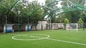 Зеленая/прованская зеленая дерновина на открытом воздухе спорта искусственная для футбольных полей/спортивной площадки поставщик