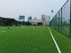 Спорт травы профессионального футбола искусственные справляясь для футбола поставщик