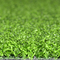 На открытом воздухе и крытый искусственный зеленый цвет установки 10-15mm травы гольфа поставщик