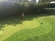 Синтетическая высота Gateball искусственная 13m травы дерновины гольфа установки зеленая поставщик