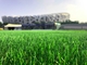 Высота дерновины искусственной сплетенная лужайкой 50mm травы футбола естественной поставщик