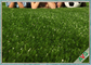 Дерновина крытого синтетического любимца искусственная, на открытом воздухе зеленый цвет/Яблоко поля травы ковра ое-зелен поставщик