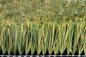 ФУТБОЛ ФУТБОЛА засевает трава травой аттестованное ФИФА 60mm искусственная поставщик