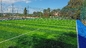 ФУТБОЛ ФУТБОЛА засевает трава травой аттестованное ФИФА 60mm искусственная поставщик