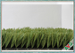 PE зеленого цвета + Яблока поля травы футбольного поля моноволокно искусственного ое-зелен поставщик