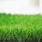 Ковер зеленого сада лужайки травы теннисного корта 12400 Detex искусственный для Lanscaping поставщик