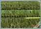 Эко- дружелюбное никакая трава на открытом воздухе любимца запаха искусственная w формирует PE Monofil + завило PPE поставщик