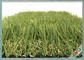Вечнозелёное растение длинной жизни возникновения свободной травы любимца обслуживания искусственной естественное поставщик