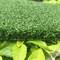 трава естественного гольфа высоты кучи 10mm искусственная/играет в гольф крытый зеленый цвет установки поставщик