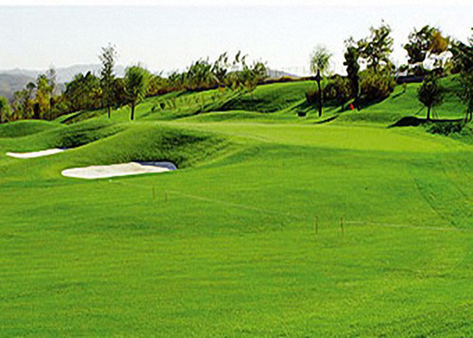 Профессиональные спорт играют в гольф высокую износостойкость дерновины поддельной травы искусственную 0